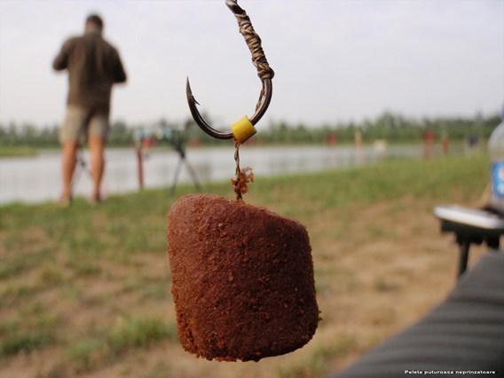 diverse adunate - monturi-nade-30.jpg